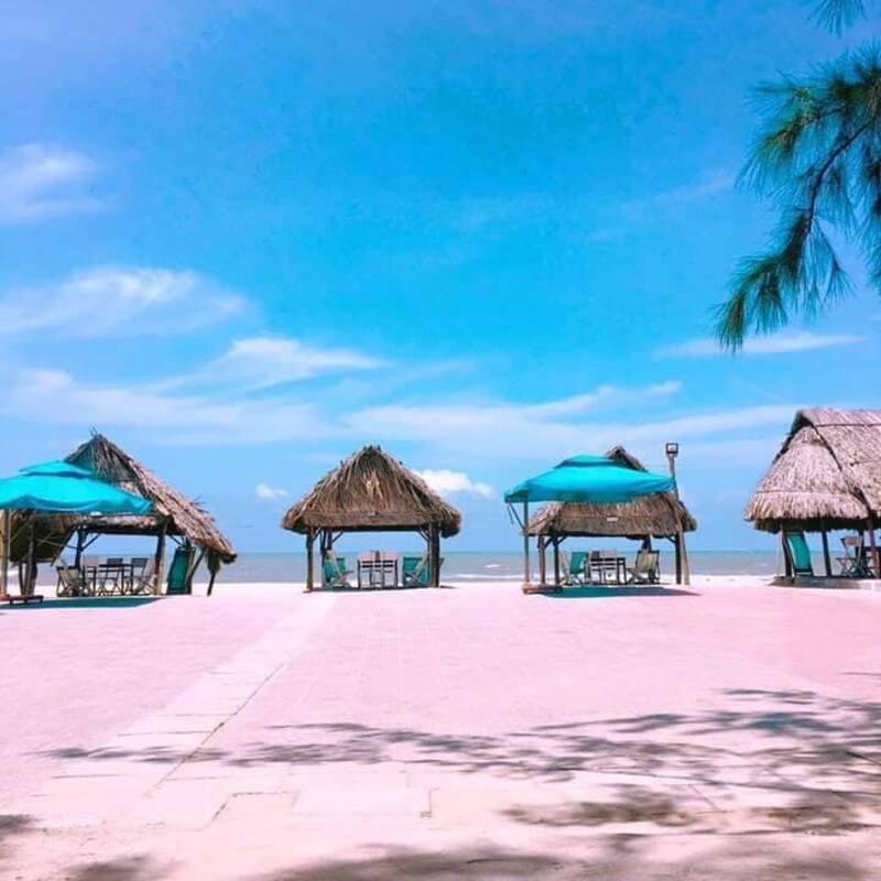 quán cây dương hồ tràm