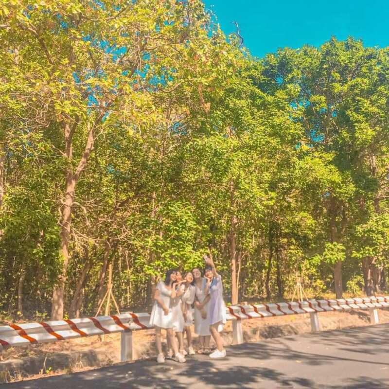 check in ở rừng nguyên sinh Bình Châu - Phước Bửu