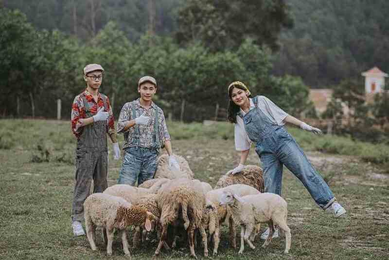sống ảo tại Đồi Cừu Bưng Riềng